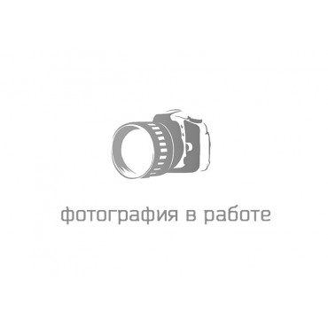 ШЛАНГ ТОРМОЗНОЙ ЗАДНИЙ ГАЗ 31029, 3110; 3102 (ПЕРЕДН), 2410 (ПЕРЕДН., ВЫПУСК ДО 2000Г.)